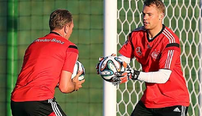 麦金泰尔目 麦金泰尔目