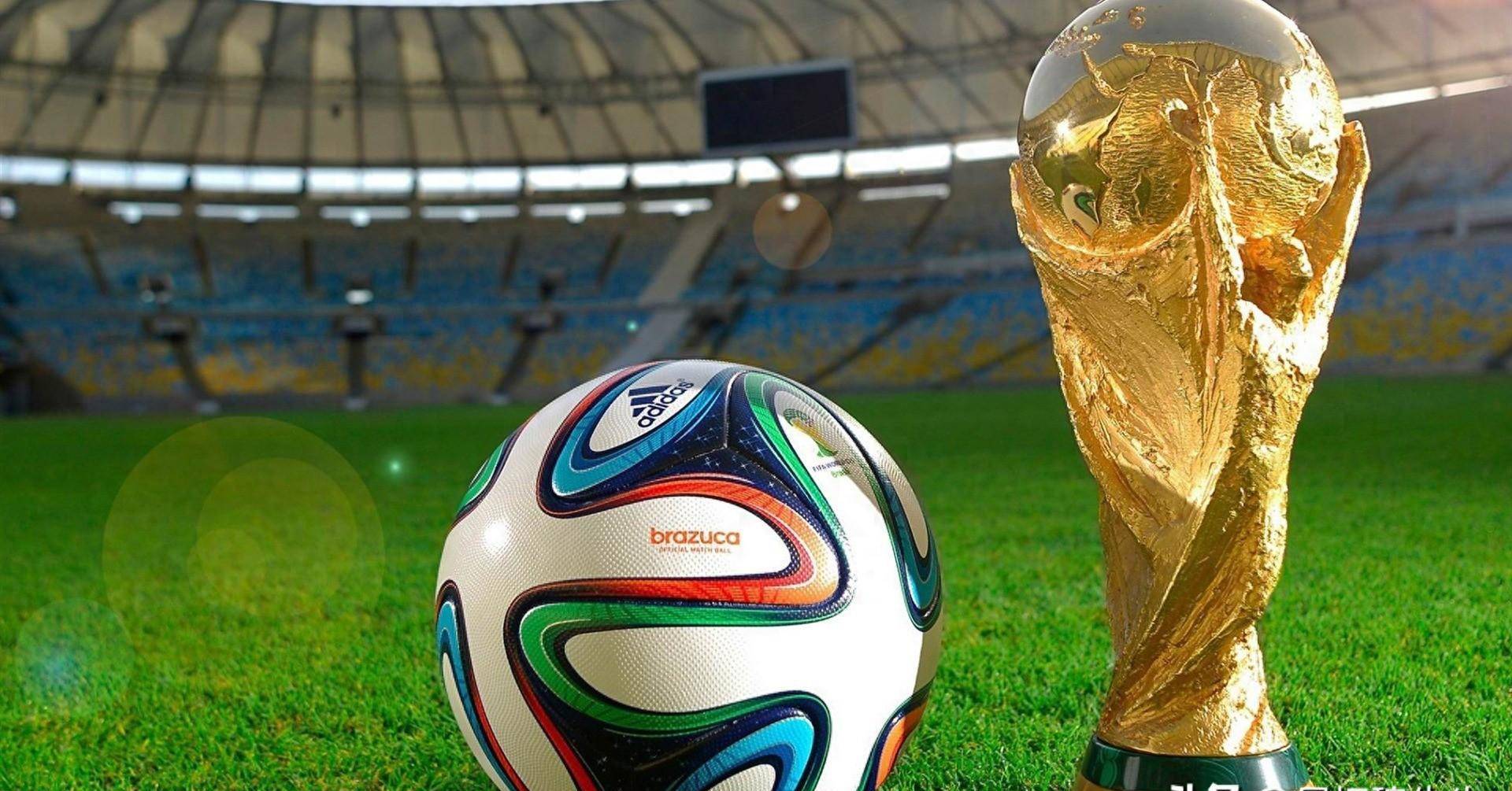 龙赛罗指出 龙赛罗指出