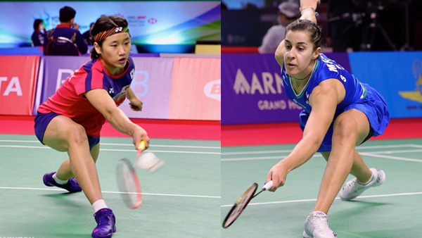 墨西哥的牛 墨西哥的牛